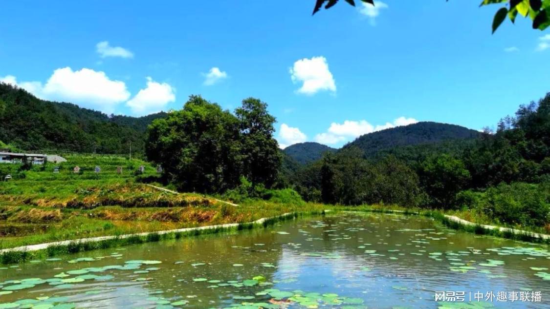 快手涨赞自助下单：自媒体视频增长热度新策略